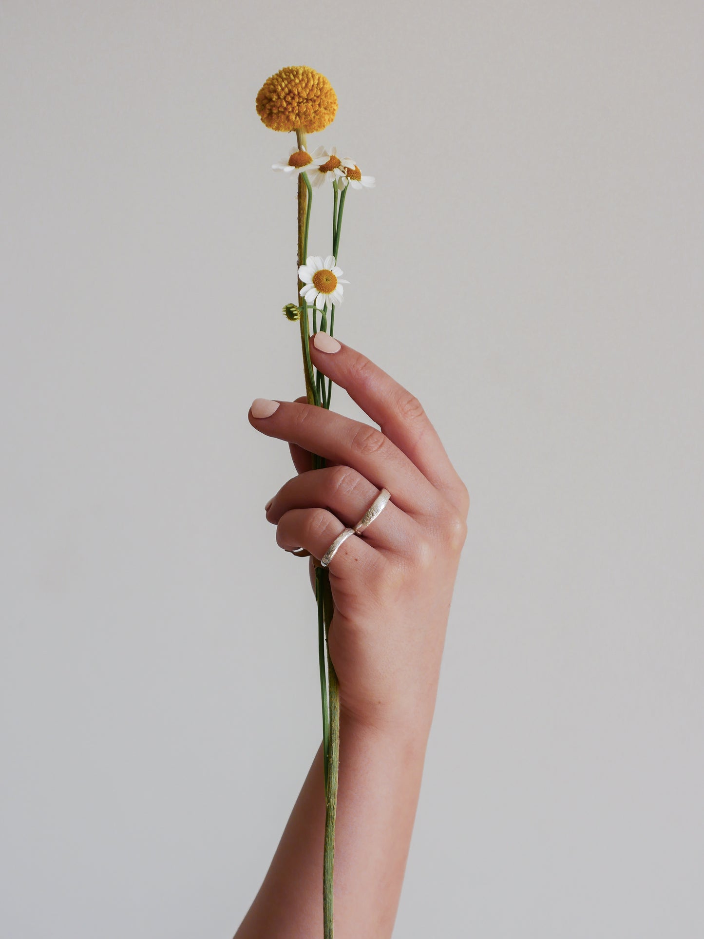 Workshop & Brunch - 29 novembre Reggio Emilia